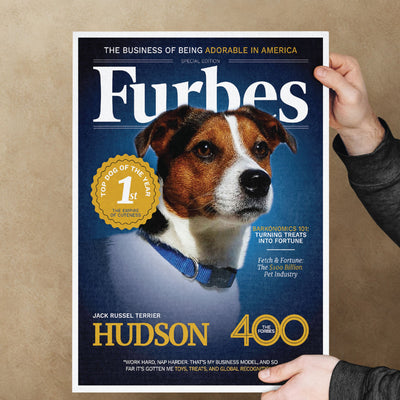 Furbes