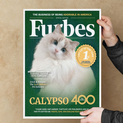 Furbes