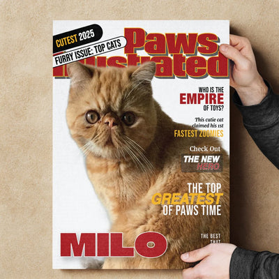 Paws Illustrated